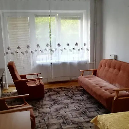 Srodmiescie Apartment