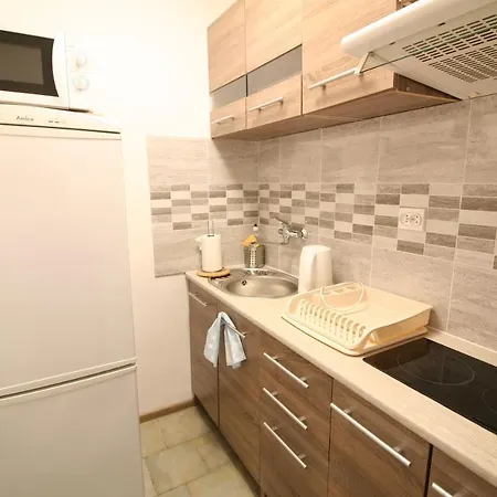 Srodmiescie Apartment *