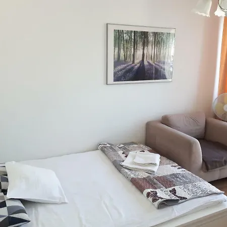 Srodmiescie Apartment *