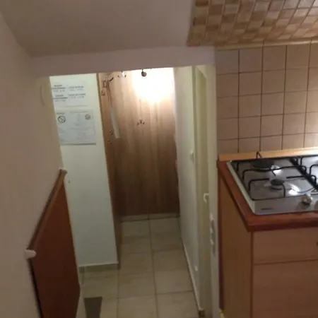 Srodmiescie Apartment *
